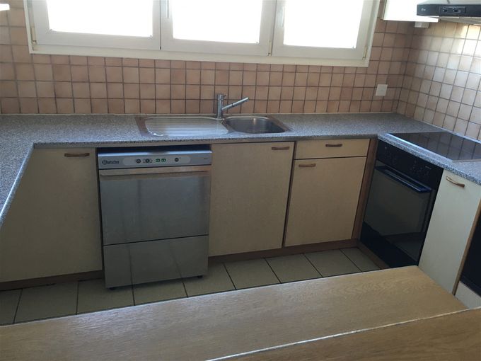Cuisine agencée, lave-vaisselle professionnel, etc...